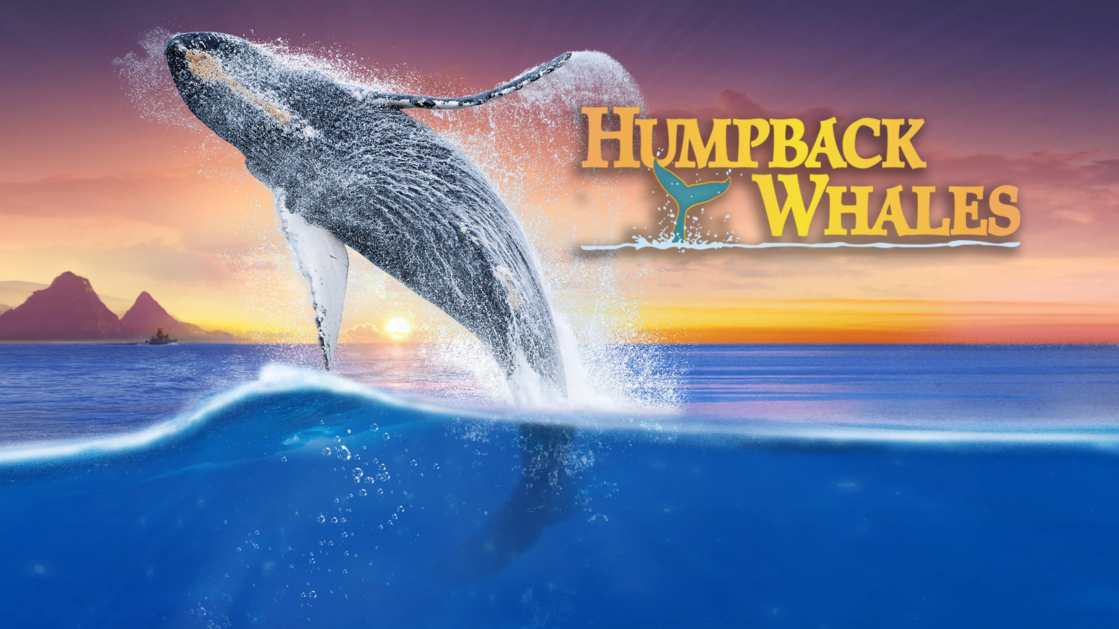 Humpback Whales poster